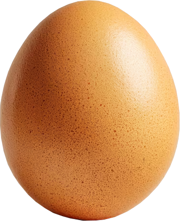 Uovo calibro 60g